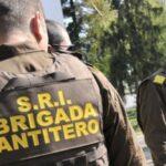 Fiica Anamariei Prodan, Sarah Dumitrescu arată răvășitor, chiar și fără machiaj!