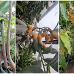 CTP cere interzicerea accesului copiilor la rețelele sociale: Dă vina pe „Părinți, care nu sunt soluția, sunt problema!”