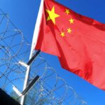 Acest bărbat din Alba Iulia cultivă BANANE și papaya, IARNA! Cum poți crește și tu banane?