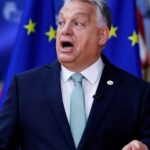 Alergie sau răceală? Semnul discret de pe nas care îți spune că ești victimă a polenului