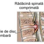 Secretul reprogramării celulare: Cum să-ți „păcălești” corpul să se vindece singur