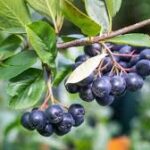 Cine este Vlad, noul concurent de la Mireasa? Are un copil!