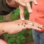 Astenia de Primăvară: Simptome, Cauze și Remedii pentru Revigorare