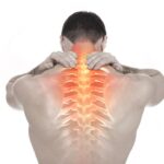 Aronia: Super-fructul cu cea mai mare concentrație de antioxidanți