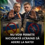 Franța își mută aurul din SUA la Paris și câștigă aproape 13 miliarde de euro! Ce face România?