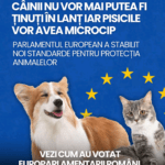 Guvernul a adoptat interzicerea cumulării pensiei cu salariul la stat