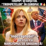 Grzegorz Braun: „Viitorul Europei nu va fi decis de liderii tulburați mintal ai Uniunii Europene