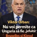 Trump declanșează un nou scandal diplomatic! Atacuri dure la adresa Giorgiei Meloni, Papei Leon și reacții despre Viktor Orbán