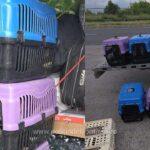 Ministrul Economiei: Moldova ar putea „importa” circa 300 000 de lucrători de peste hotare